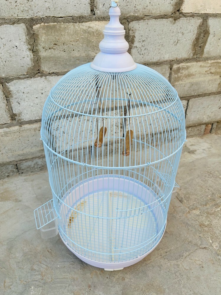قفص الطيور - 1