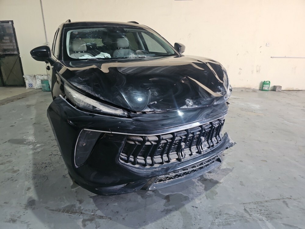 dongfeng - 1