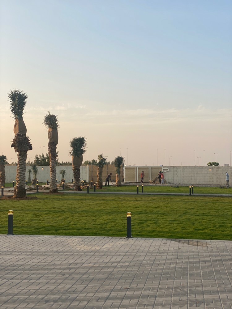 شتالات وفصائل باقل الاسعار  - 3