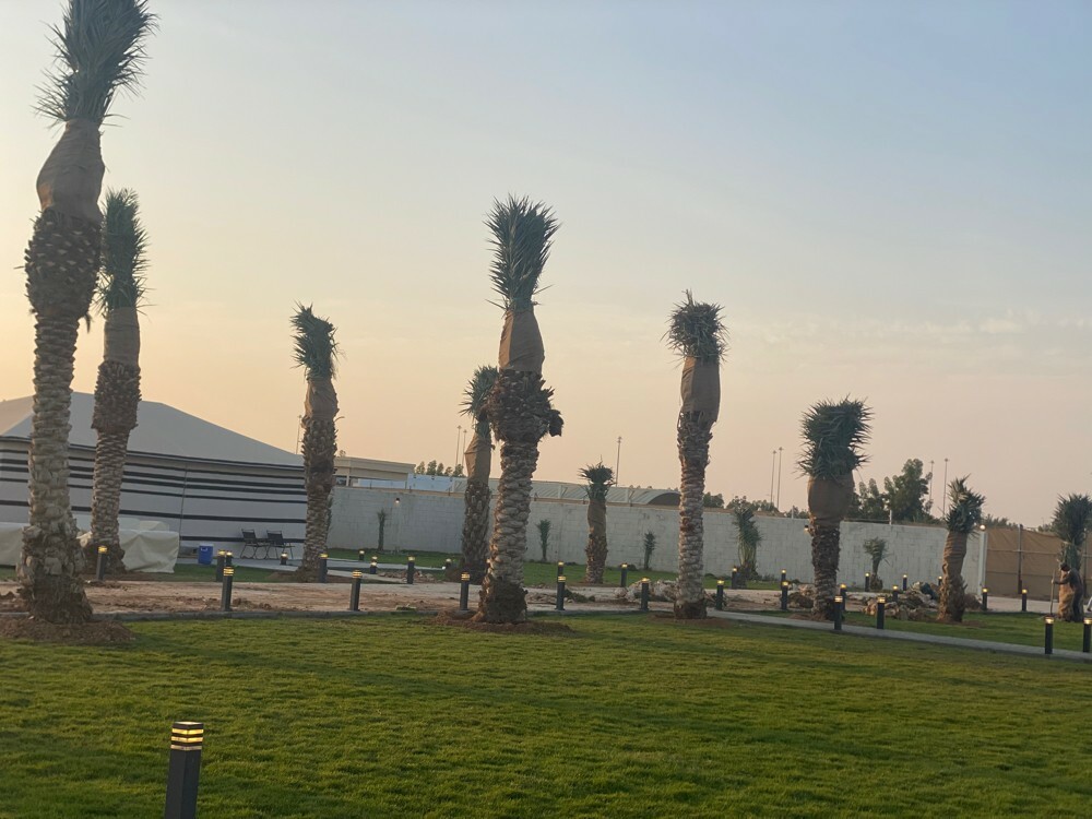 شتالات وفصائل باقل الاسعار  - 4