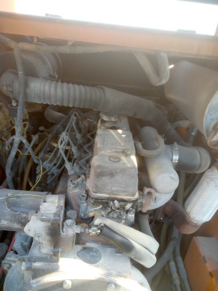 Babocat - 7