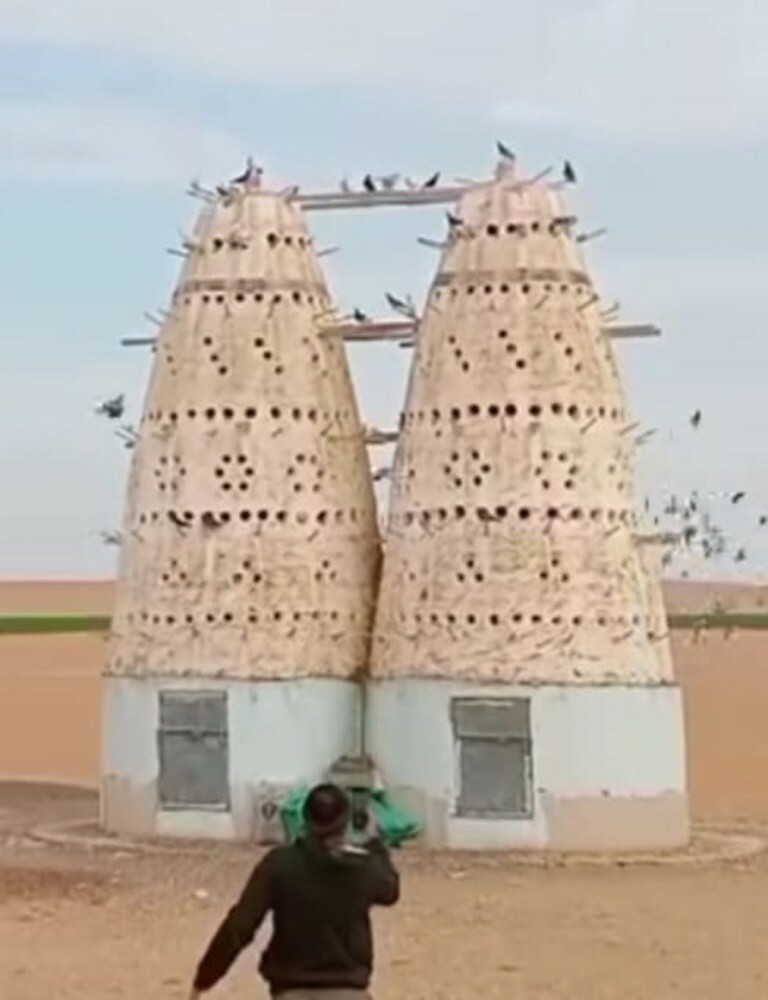 عمل ابراج للحمام - 15