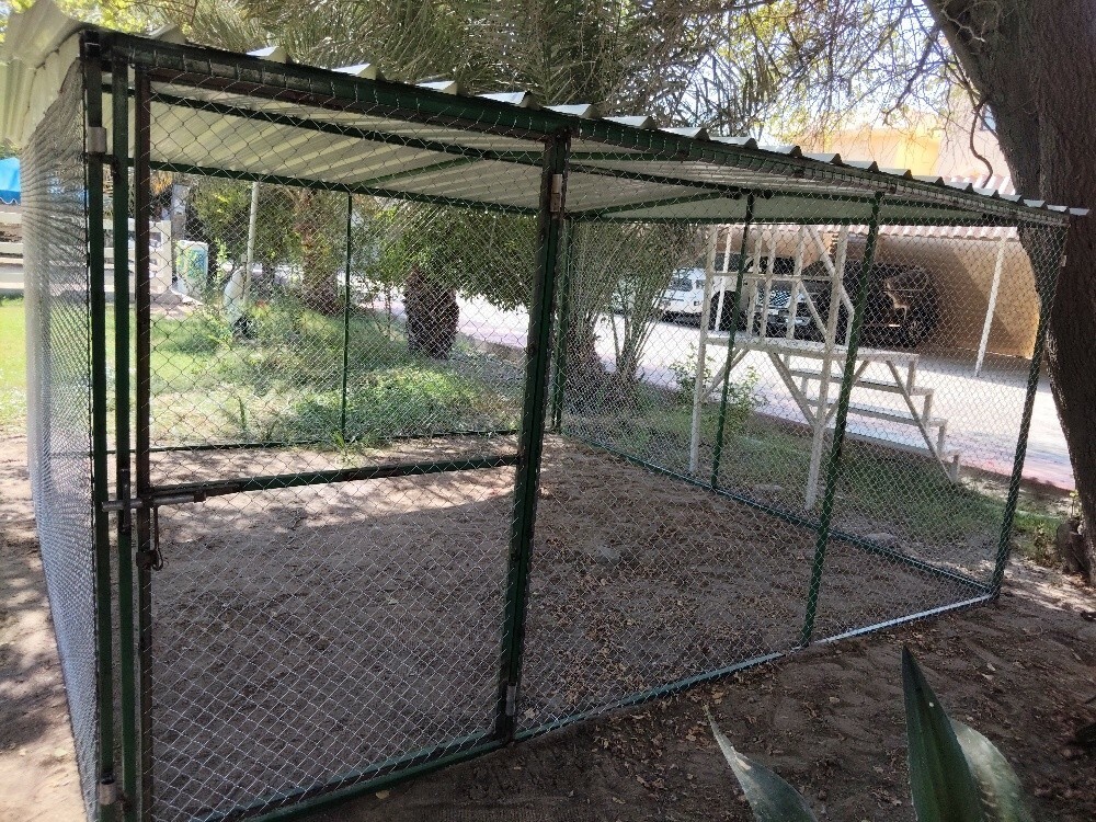 2/2=قفص - 3