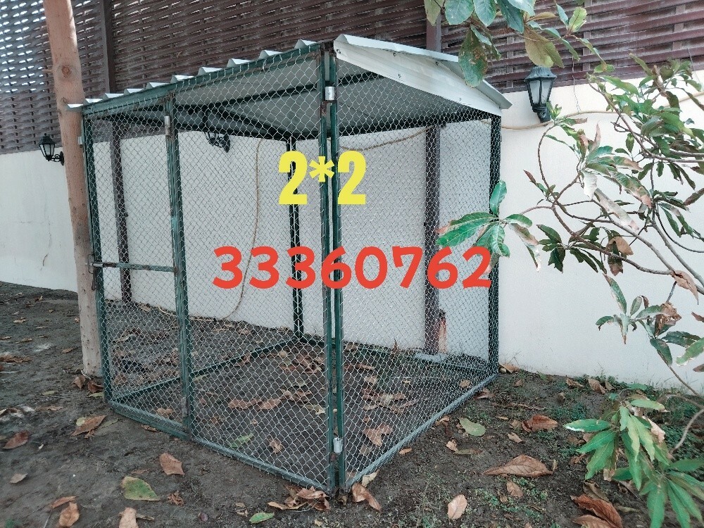2/2=القفص - 1