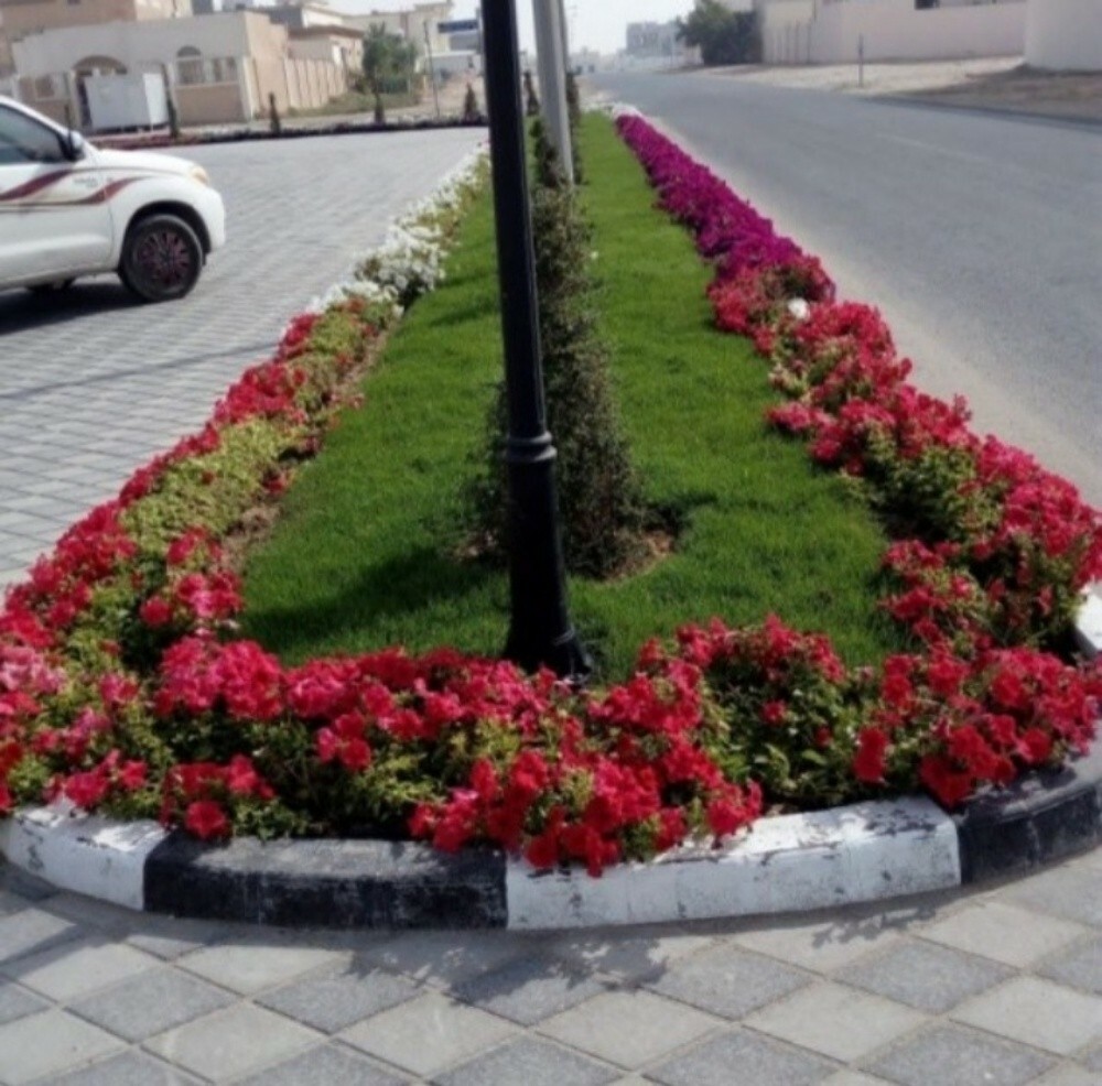 مزارع - 2