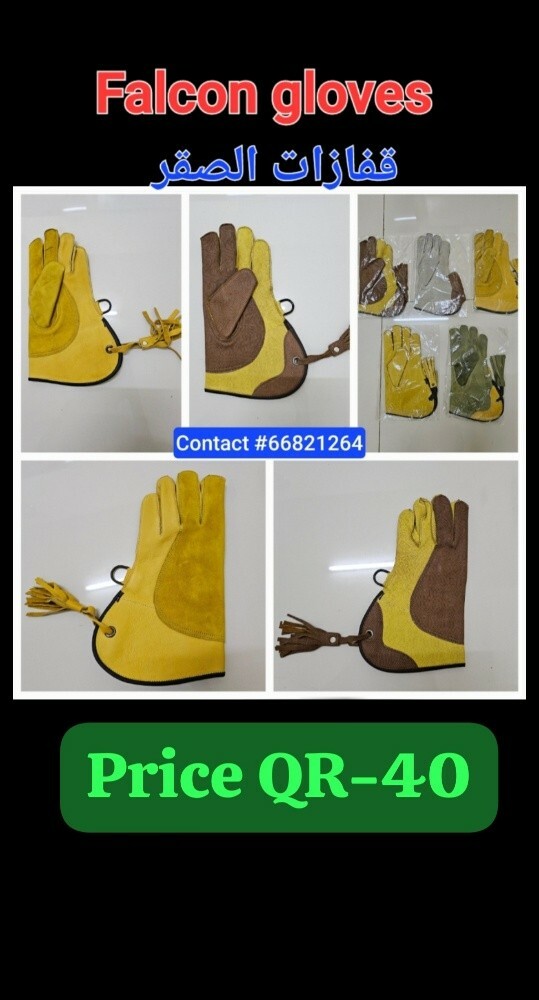 قفازات الصقر - 1