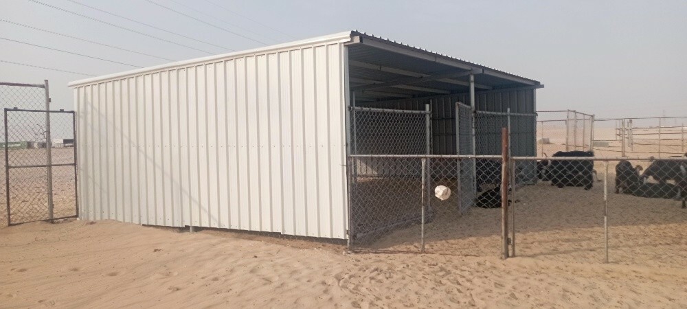 tofala - 4