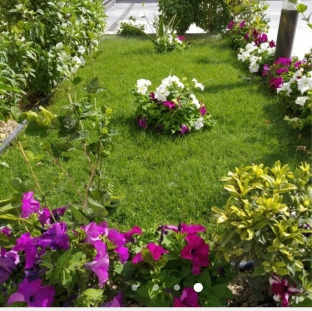 حدائق - 3