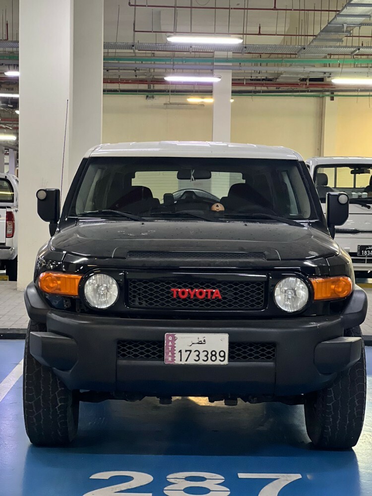 Fj cruiser - 3