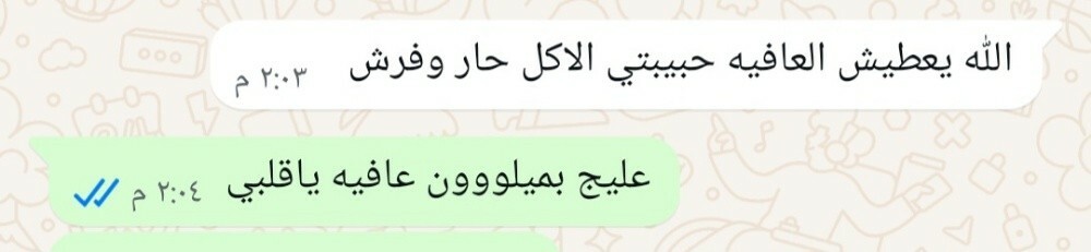 محشي - 12