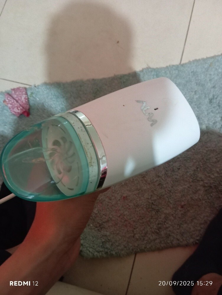 Portable Garment Steamer - 1