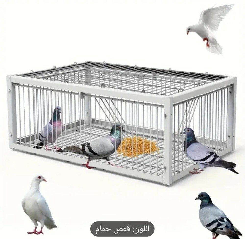 مصيد حمام عصافير - 1