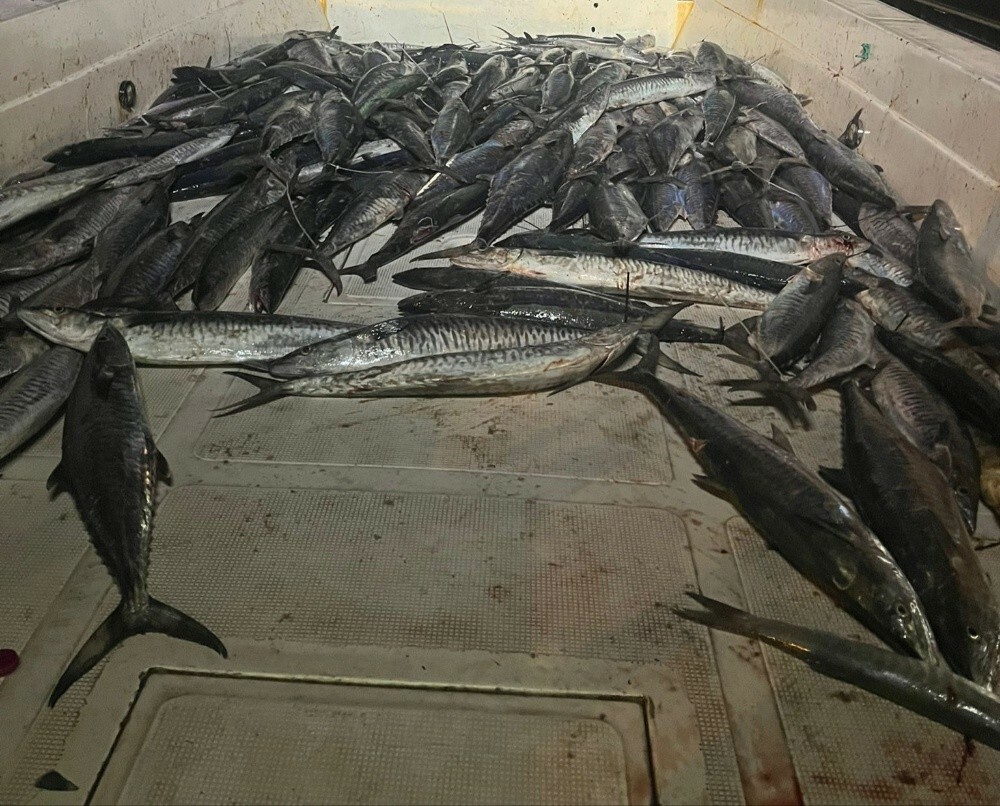 fishing jigging trips - 14