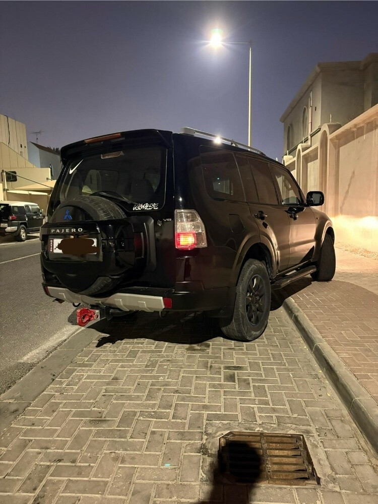 باجيرو ٢٠٠٩ - 6