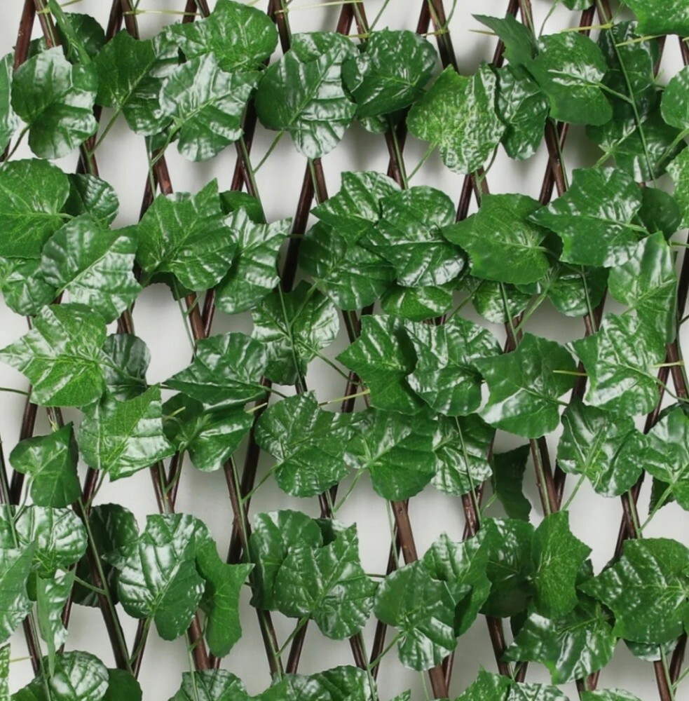 Grass carpet available - 9