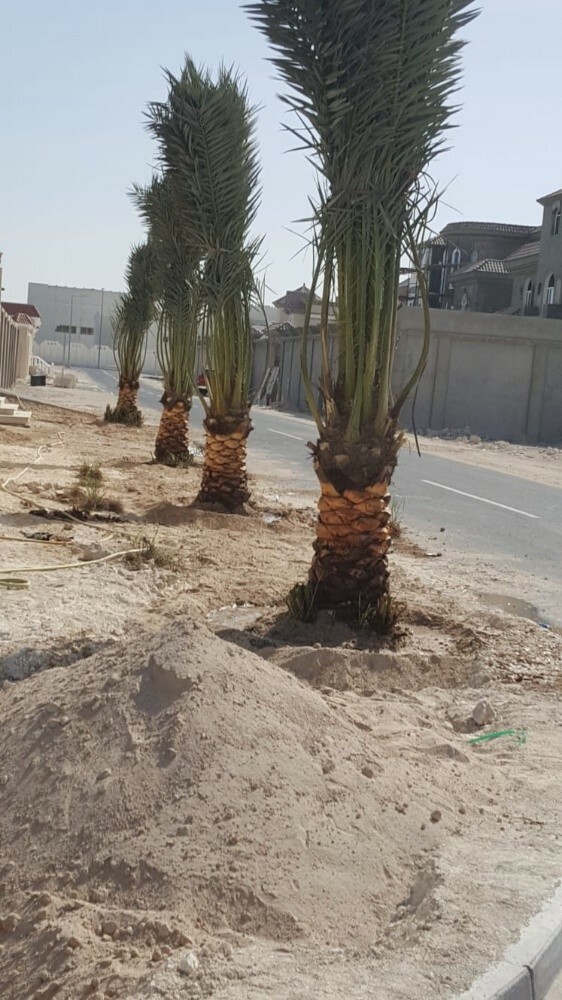 مهندس زراعي - 2