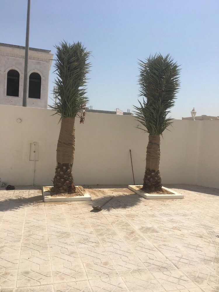 مهندس زراعي - 3
