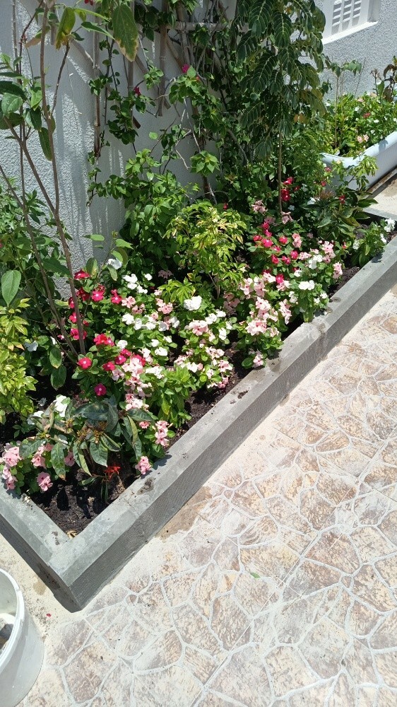 مهندس زراعي - 4