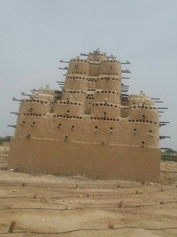 عمل ابراج حمام  - 14