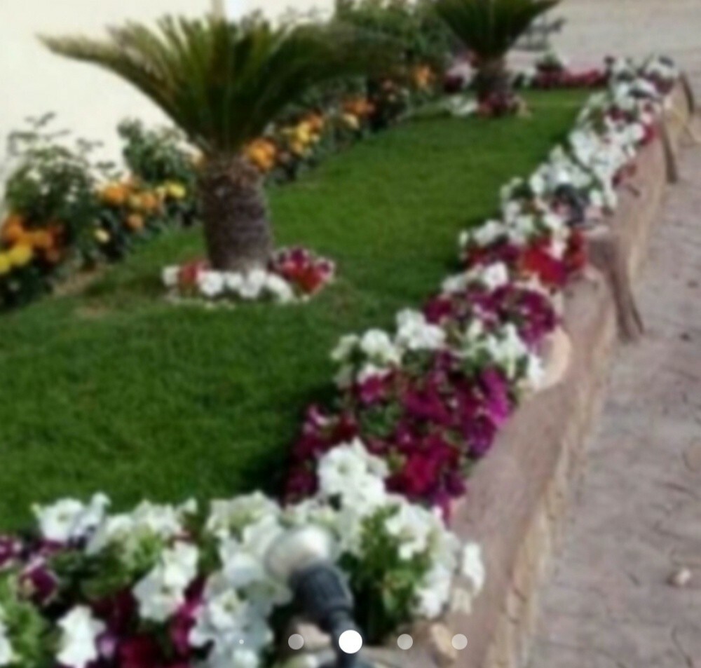 المنار لزراعه والديكور وتنسيق الح - 6