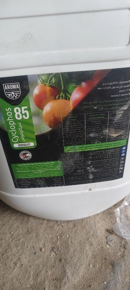 Abdul Majeed - 6