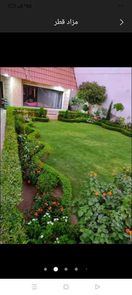 مزراع - 15
