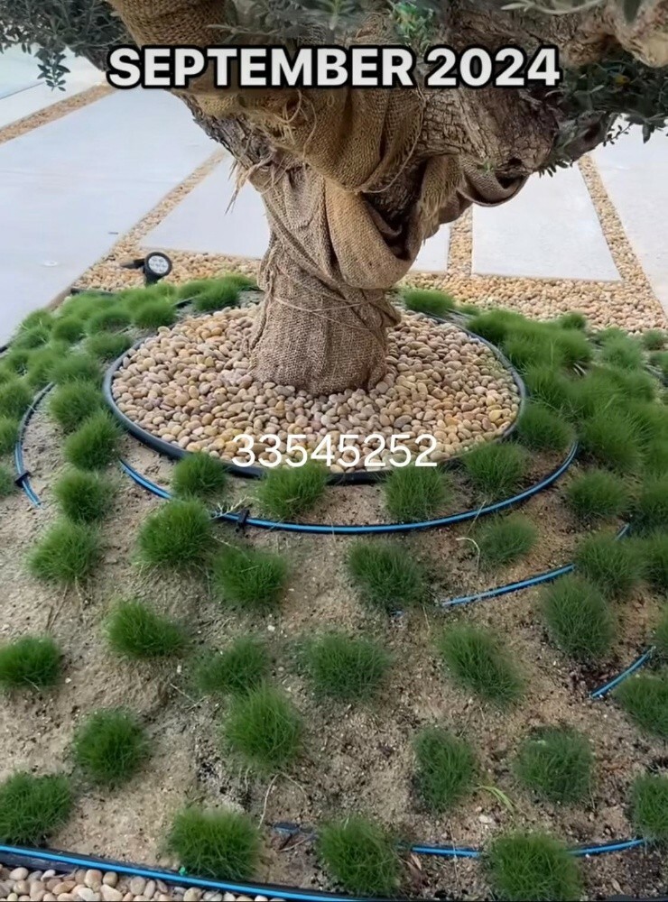 مزراع - 1