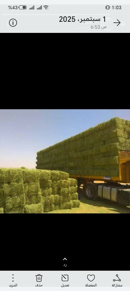 مطلوب مستثمر شريك - 1