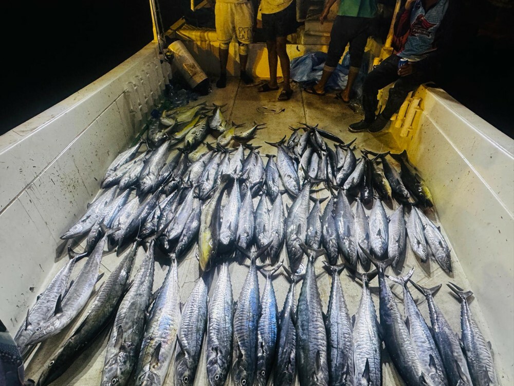 FISHING TRIP - 1