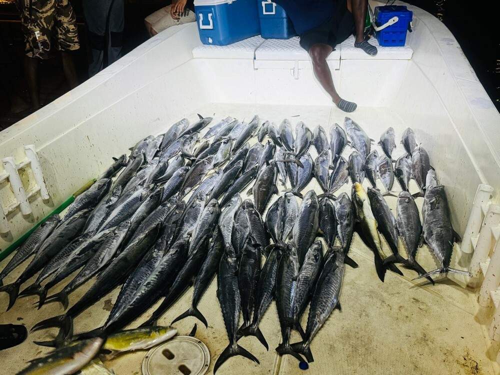FISHING TRIP - 11