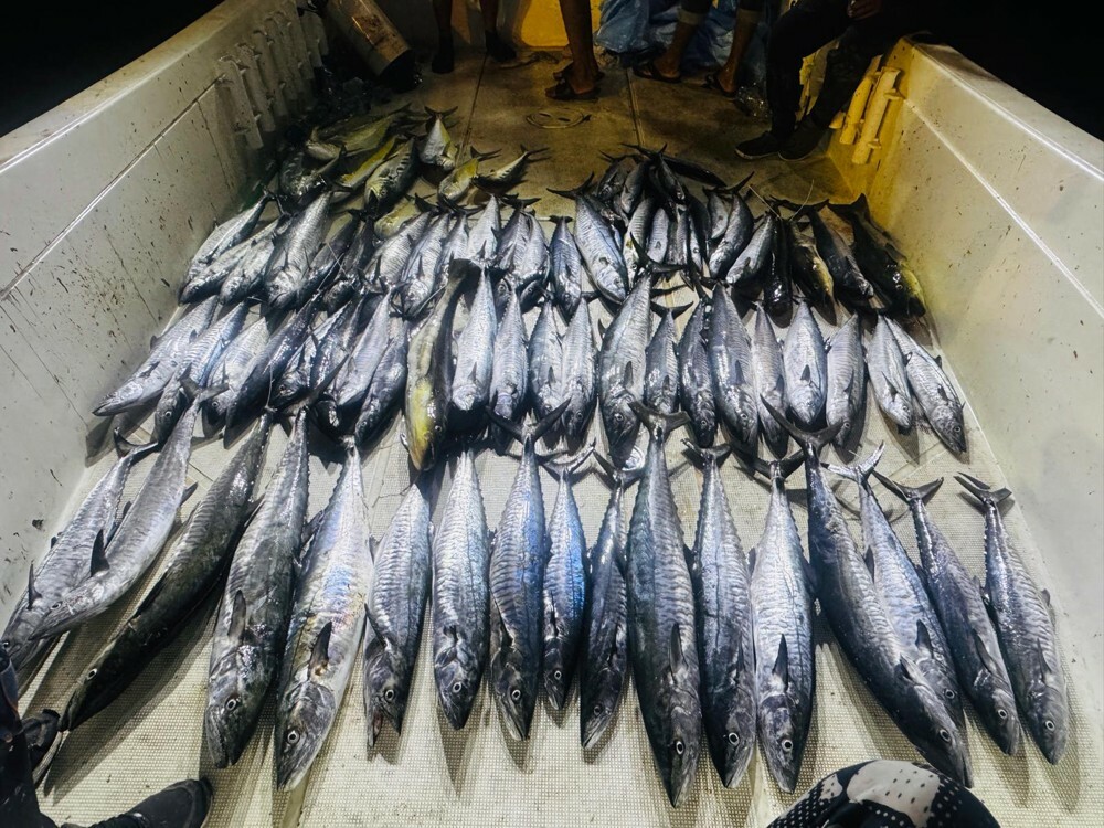 FISHING TRIP - 3