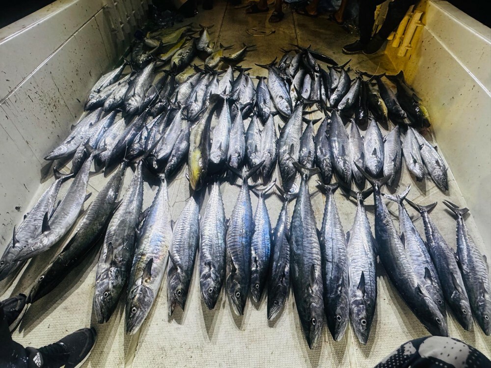 FISHING TRIP - 2