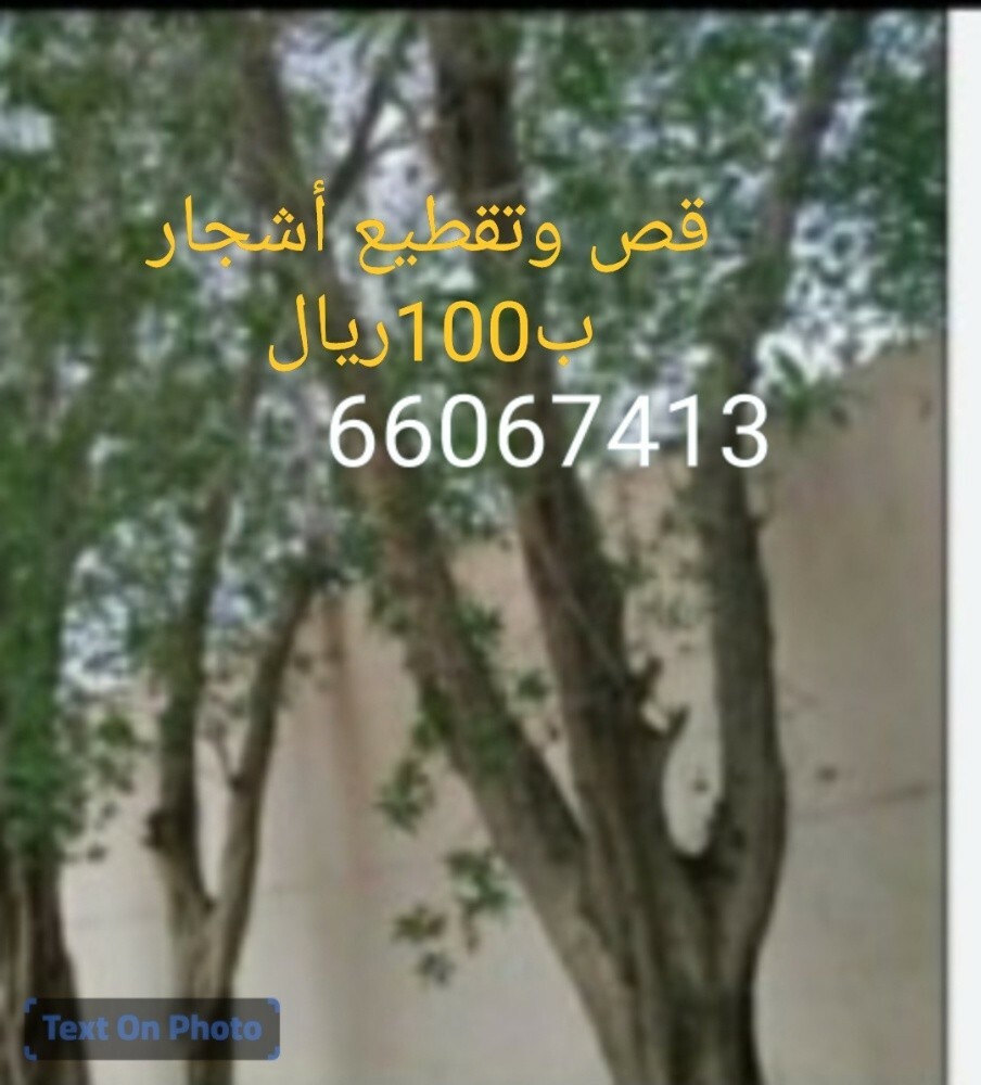 تقطيع أشجار ب100ريال - 1