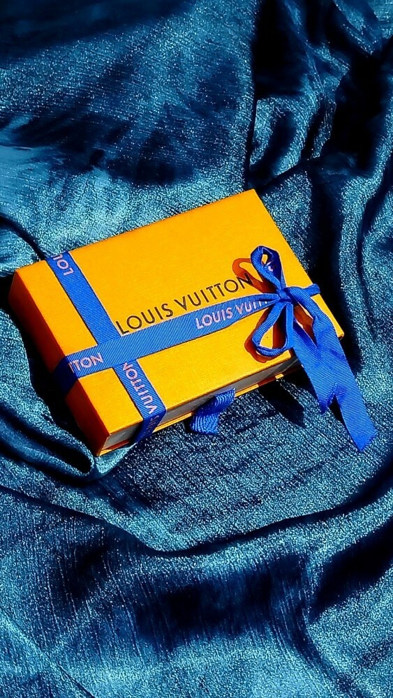 LouisVuitton Monogram Card Holder - 1