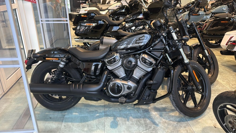 NightSter 2022  - 1