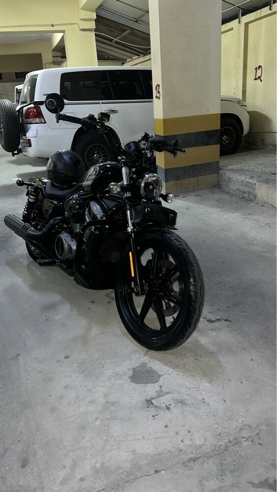NightSter 2022  - 2