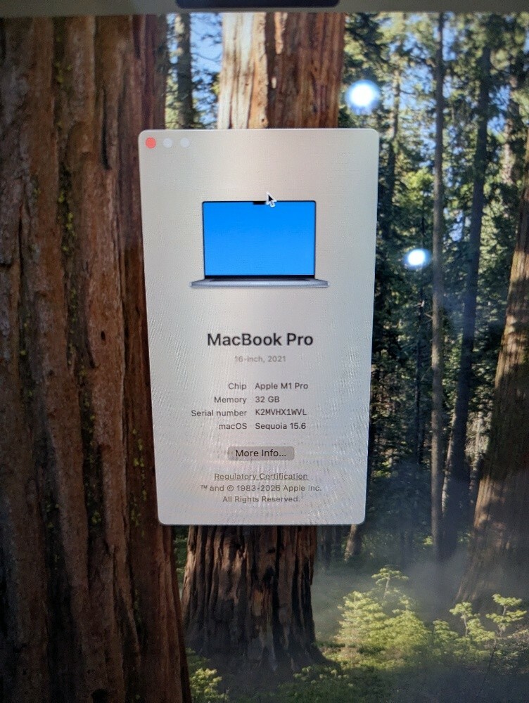MacBook Pro M1 32+512 GB 16" - 3