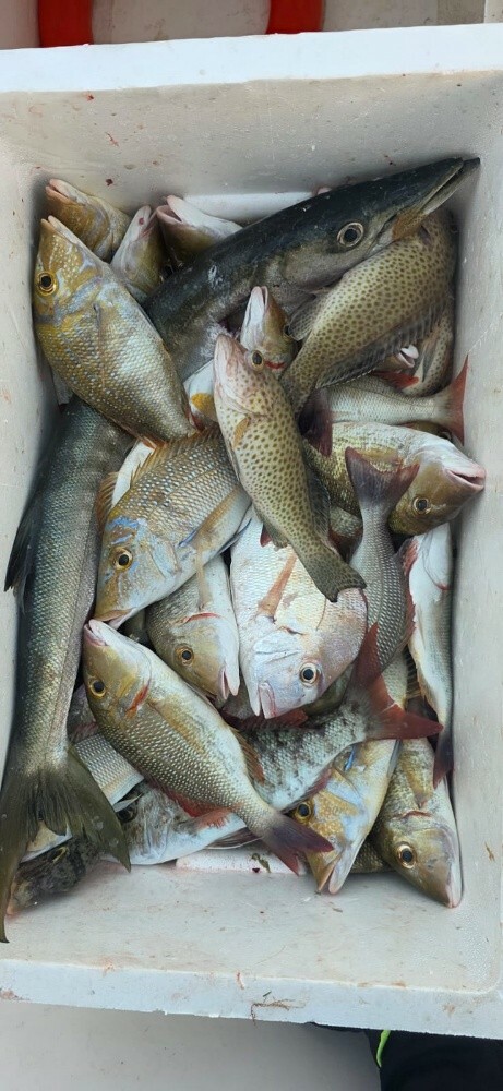 fishing jigging trips - 6