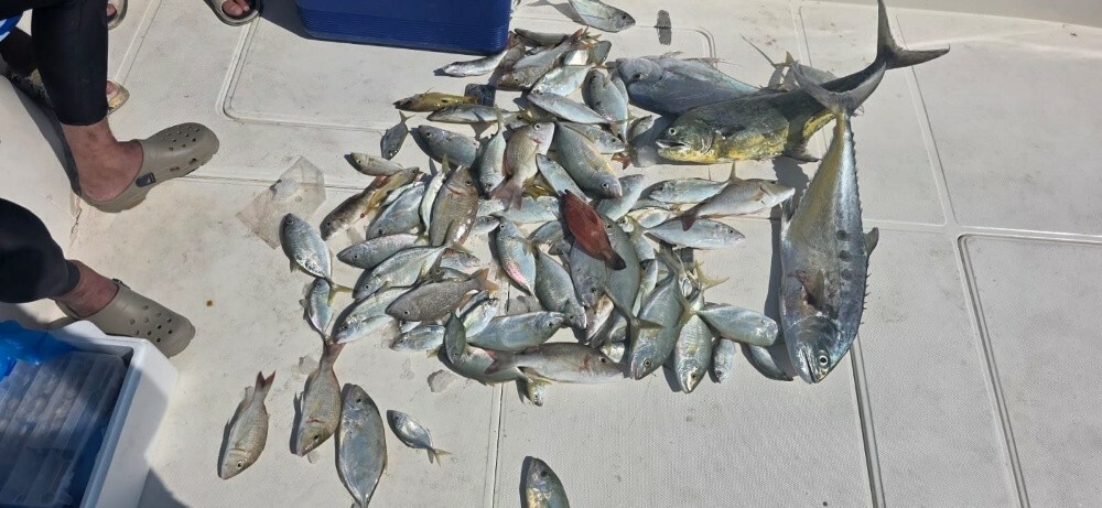 fishing jigging trips - 7