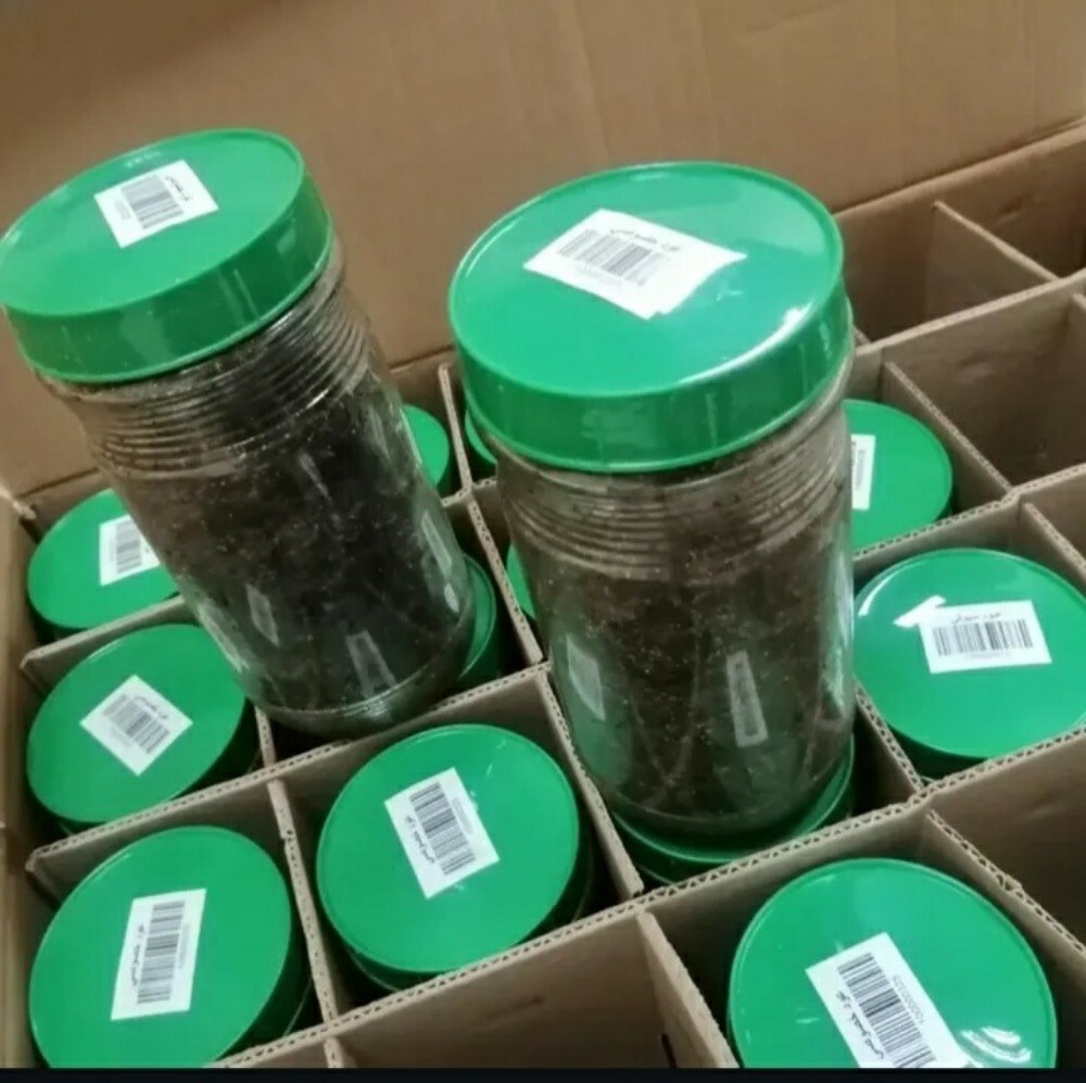 Special Omani Oud Incense - 3