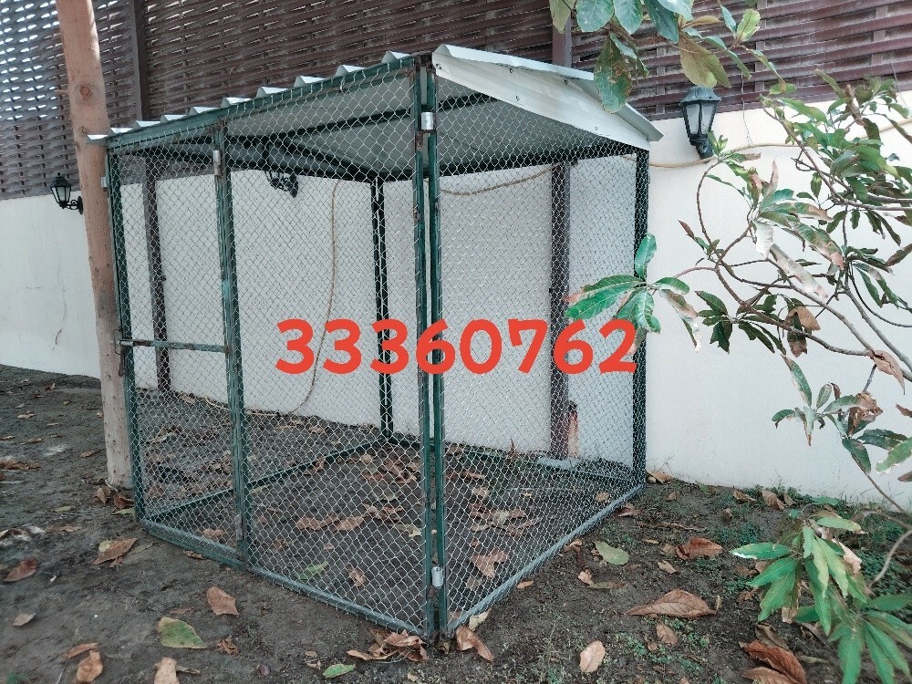 ٢/٢=قفص - 1