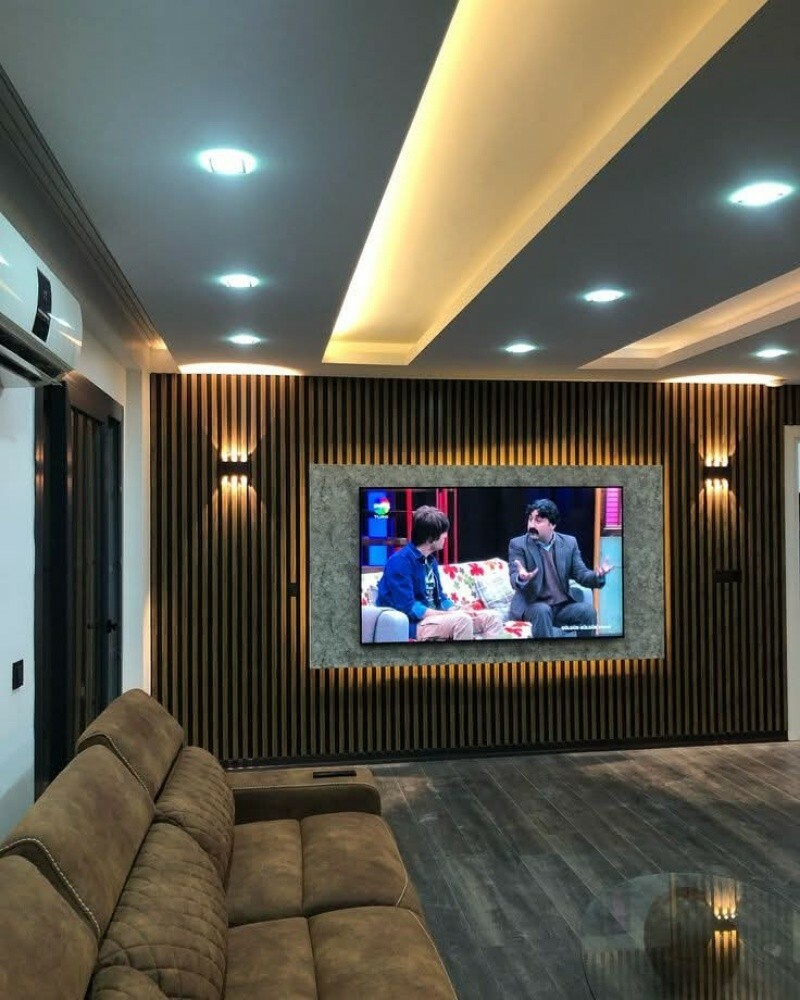 TV DIGITAL WERK - 1