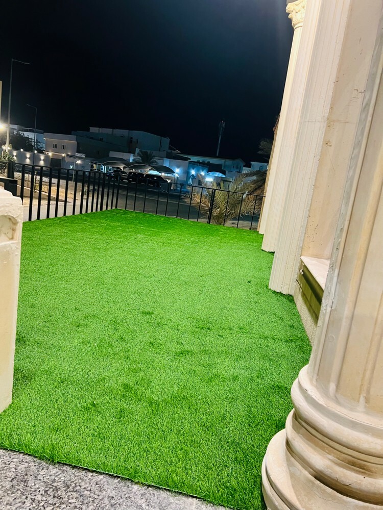 سجادة عشبية خضراء منقوشة - 4
