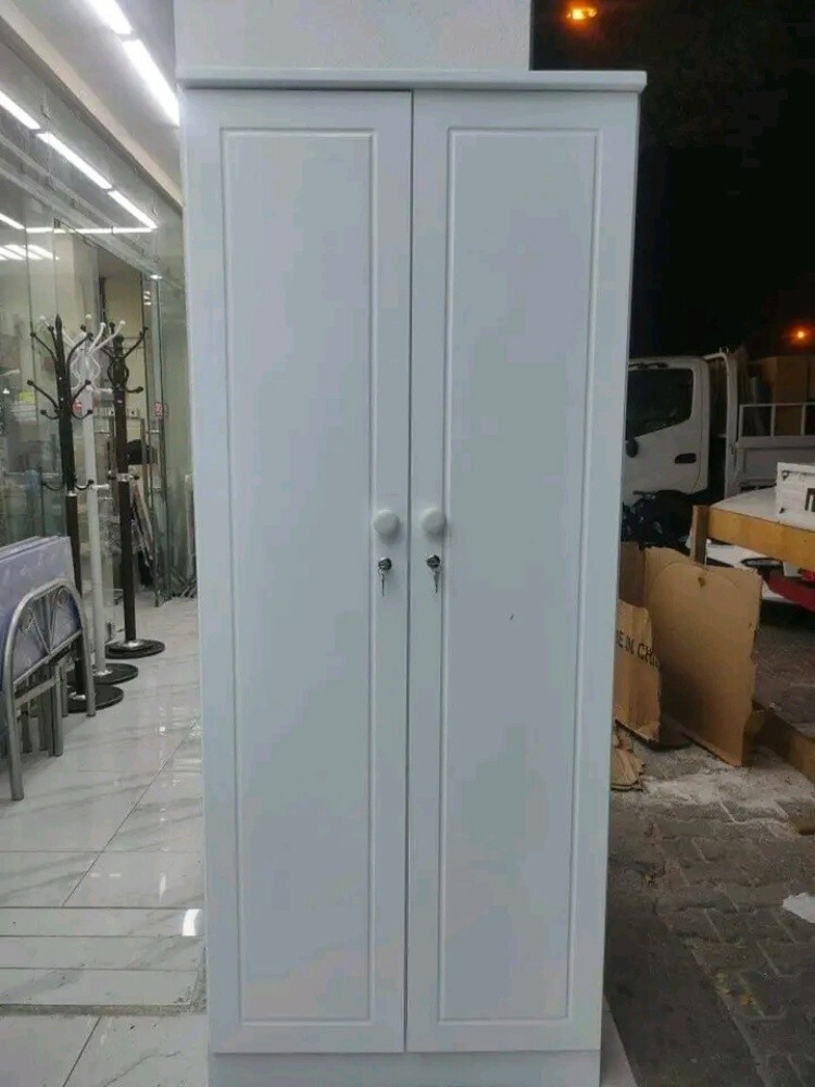 2 Door Cabinet - 1