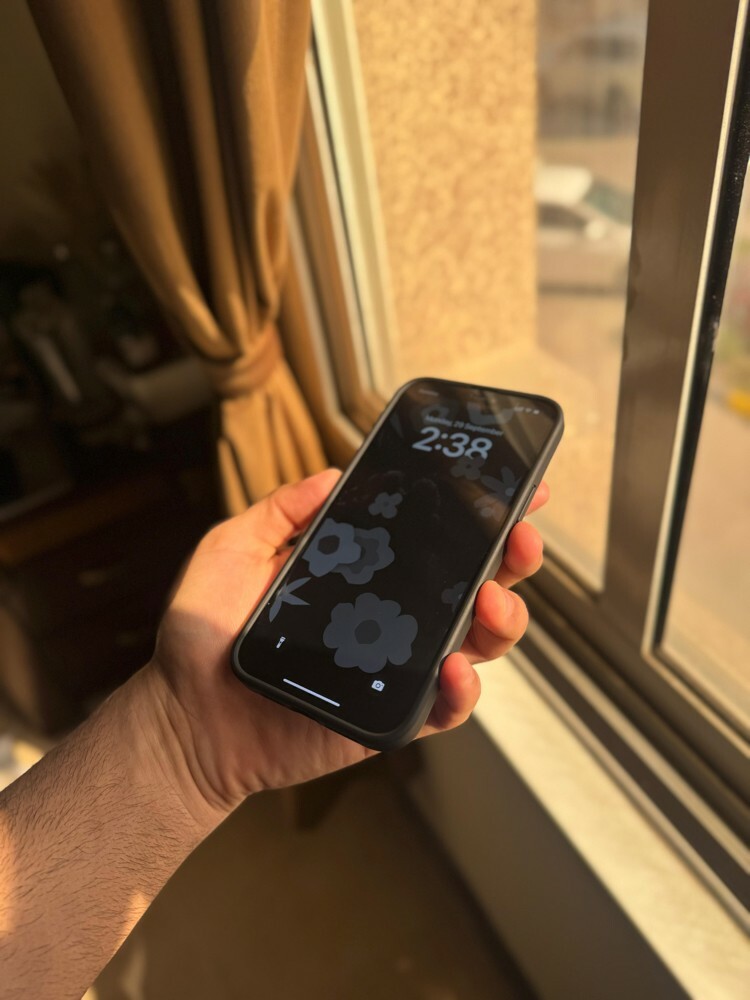 iPhone 12 Pro Max 256 GB  - 8