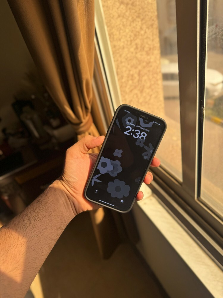 iPhone 12 Pro Max 256 GB  - 7