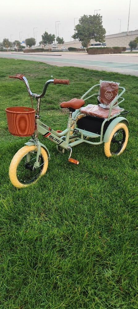 bicycle bike 3 tier Pedicab tric - 3