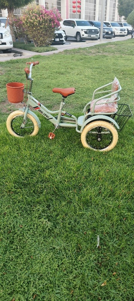 bicycle bike 3 tier Pedicab tric - 4