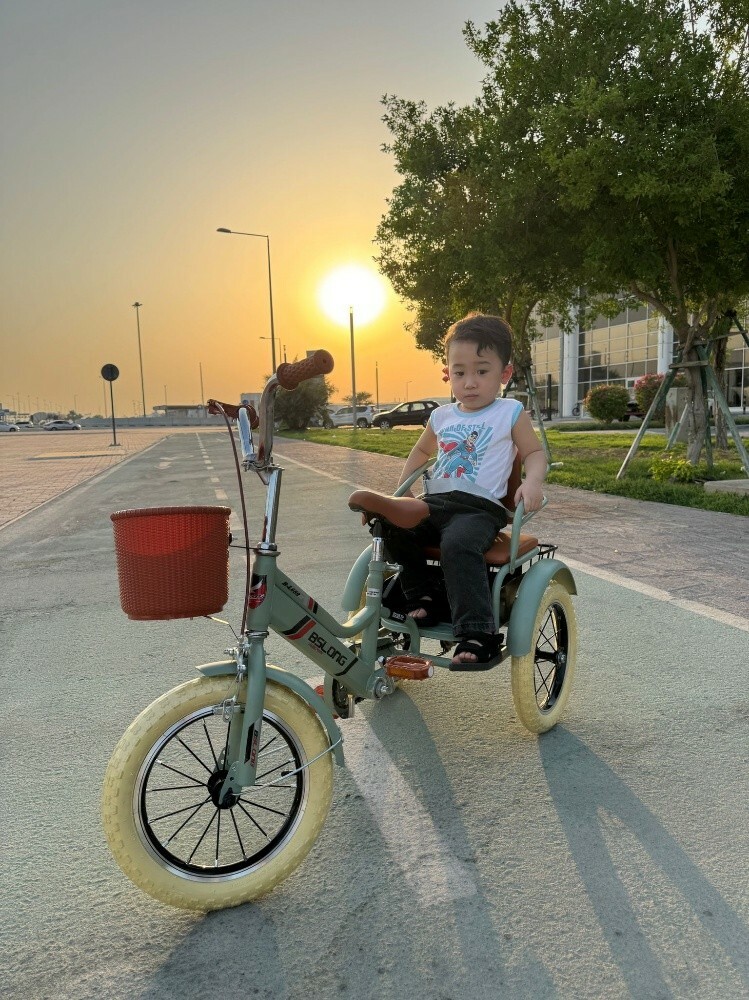 bicycle bike 3 tier Pedicab tric - 6