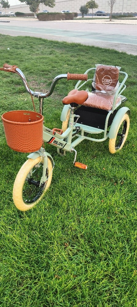 bicycle bike 3 tier Pedicab tric - 2